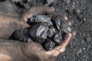 突发重磅：中国“出手了”！国家发展改革委研究依法对煤炭价格实行干预措施 动力煤期货跌停