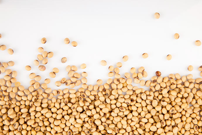 特朗普-习近平通话前，大豆领涨美国粮食期货