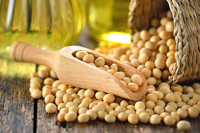 中美大豆贸易恢复的希望破灭？中国购买阿根廷大豆、缺席美国市场