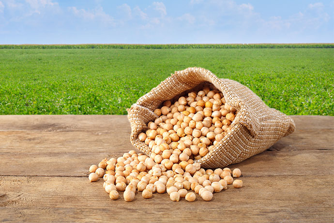 中美贸易协议达成后，中国又购买四批25万吨美国大豆