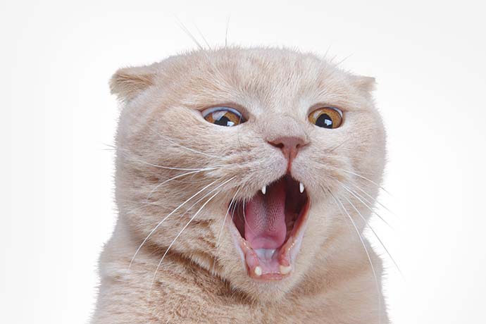 高盛突发警告：金属涨势有风险！与中国有关？